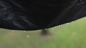 คลุมวัชพืช กามยิ้ม การจัดหญ้า UV สูงสุด 3-5 ปี การซึมผ่าน น้ำที่แข็งแกร่ง เพิ่มผลผลิต