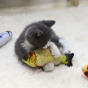 Mainan Kucing Bentuk Ikan Dan Catnip Boneka Tahan Gigitan Bermanfaat Bagi Kesehatan Mereka