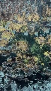 ผ้าปักสีทองวินเทจสำหรับชุดเดรสงานหนักชุดเดรสผ้าของตกแต่งแฟชั่นย้อนยุค