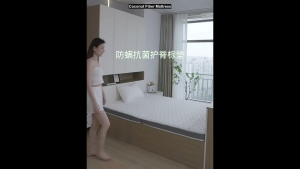 【Lucky Home】 Coconut Fiber Mattress / Foldable / 4 Sizes / 4cm
