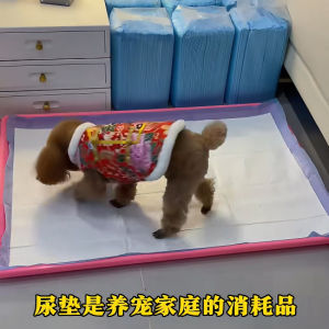 Thickened Dog Urinal Mat Disposable Potty Training Pad Cat Litter Mat Absorbent Pad Small Dog Training Toilet Paper Mat