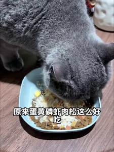 ZHUCHONG | Hỗn Hợp Thức Ăn Khô Dinh Dưỡng Cho Mèo và Chó
