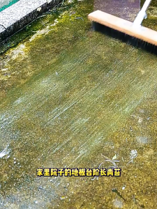 แปรงขัดพื้น แปรงลวดขัดพื้น แปรงลวดสเตนเลส ลวดสแตนเลส 304 ด้ามจับยาว 115ซม ไม่ต้องก้ม ทนทาน สําหรับทําความสะอาดพื้น