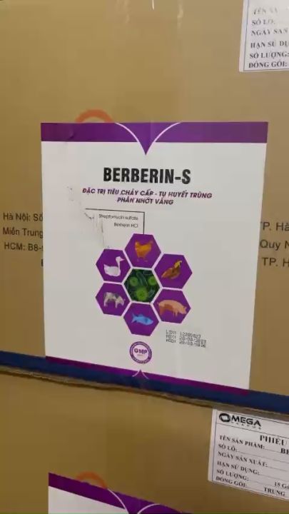 Đặc tri tiêu chảy nặng BERBERIN - S Phân vàng, xi măng, ỉa chảy tóe nước vọt cần câu, tụ huyết trùng,...