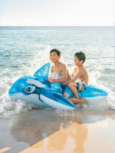 Intex | Thickened Dolphin Shaped Inflatable Toy