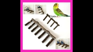 🇸🇬 Bird Ladder Perch Nature Wood Stand Parrot/Hamster Climbing Toys Nature Wood Chew Toy for Small Animal