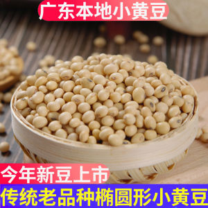 Local Non-GMO Organic Yellow Soybeans from Guangdong Farmhouse Special for Soy Milk Making Traditional Variety 500g