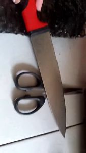 Japan Kyoto Stainless Steel Fruit and Kitchen Paring Knife Set THS2331