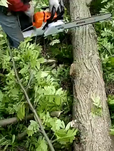 New Gasoline Saw 20 22 24 Inches Wood Cutting Portable Saw