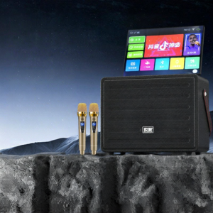 soaiy | Outdoor Indoor KTV Bluetooth Speaker Display