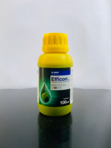 Insektisida Kontak Sistemik Pengendali Hama Kutu EFFICON 120SL isi kemasan 100ml dari BASF