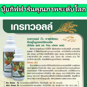 ปุ๋ย ปุ๋ยกิฟฟารีน ปุ๋ยทางใบ ปุ๋ยน้ำ ฮอร์โมนทางใบ เกรทวอลล์ giffarine ธาตุซิลิกอน เพิ่มความแข็งแรง ความทนทานให้กับเซลล์พืช ละลายน้ำง่าย ไม่อุดตันหัวฉีด เพิ่มผลผลิตไว ของแท้ ใช้ง่าย ฉีดพ่นได้กับผักสวนครัว