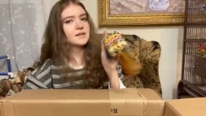 Planet Pleasures Foraging Pinata