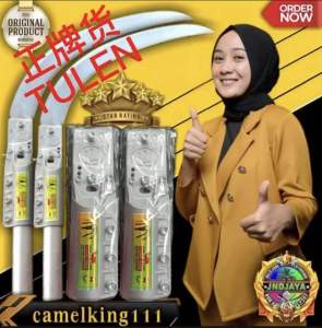 Thailand technology Sabit sawit camel king 111