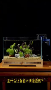 Máy Lọc Treo Ngoài Jeneca LT Series (LT-300 / LT-400 / LT-500 / LT-600) – Có phần hút dưới đáy lọc để rút nước dễ dàng