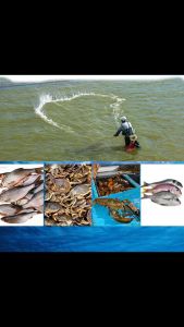 "โปรโมชั่น!!"แหเอ็นเกลียวสลิง 10 cm ของแท้  เหนียวนิ่ม ทอดง่ายได้ปลาดี