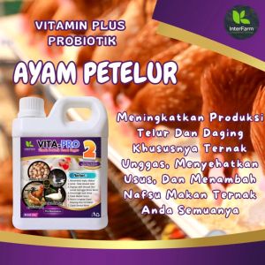Obat Ayam Petelur Mineral Ayam Petelur Vitamin meningkatkan produktivitas Telur Ayam INTERFARM