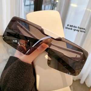 RUIYABO | Anti-Wind Anti-Sand UV Protection Glares Polarized Ski Goggles