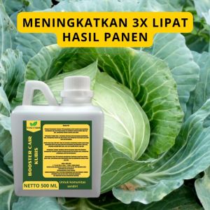 Pupuk Pelebat Kubis / Pupuk Kubis / Pupuk Booster Kubis / Pupuk Kubis