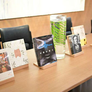 High End Solid Wood Book Ends Display Stand for Libraries And Bookstores Xinhua Bookstore Slanted Support Multi Functional Artbook