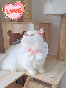 Cute Pet Neck Scarf Princess Style Lace Bowknot Neckerchief Decorative Collar for Dog & Cat