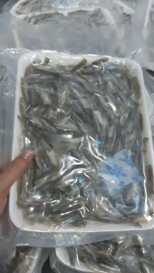 KHÔ CÁ LÒNG TONG ƯỚP VỊ LẠT VỪA ĂN KHÔNG MẶN