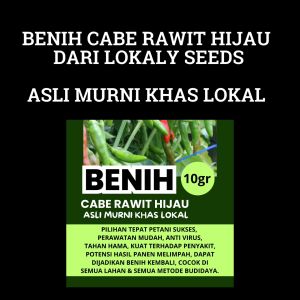 LOKALY SEEDS - 10gr & 5gr (2000 - 1000 Butir) Cabe Rawit Hijau Asli Murni Khas Lokal - cocok ditanam di dataran rendah - tinggi tumpang sari tanam benih langsung (TABELA) Hidroponik Benih Bibit Cabai rawit Super lebat