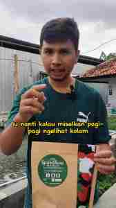 Makanan Ikan Koi Mas Koki Spirushine Sisik Mengkilap 1 kg Ikanesia