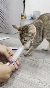 ขนมแมวเลีย Cat Snacks อาหารเปียกแมว รสชาติ, โปรแกรม 200g คละรสชาติ รสไก่ ปลา