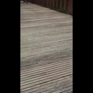 BL-8102-1 Sandal Baim EVA Rubber Wanita Import Yesplus Sandal Fuji Bahan Rubber 3D Anti Slip