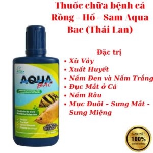 Thuốc chữa bệnh cá Rồng – Hổ – Sam Aqua Bac (Thái Lan)