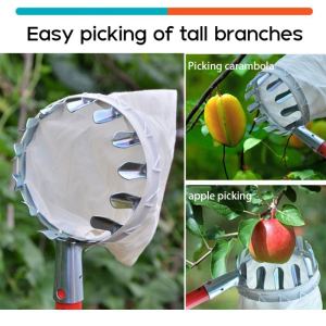 Fruit Picker Head Basket: A Portable Solution for Harvesting Citrus & Pears