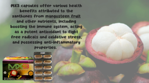 MX3 MANGOSTEEN CAPSULE 500MG 10 CAPSULES