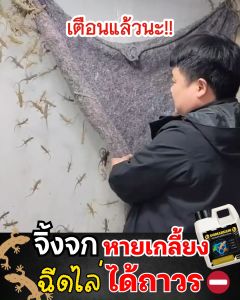 𝘿𝙊𝙈𝘼𝘽𝙀𝘼𝙈 น้ำยาไล่จิ้งจก น้ำยาไล่ตุ๊กแก ไล่จิ้งจก ตุ๊กแก ฉีดปุ๊บ หนีปั๊บ! สารสกัดจากสมุนไพร โดม่าบีม ตัวช่วยกำจัดจิ้งจก