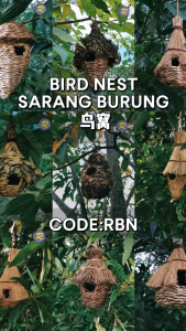 BIRD NEST/SARANG BURUNG/鸟窝 CODE:RBN