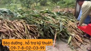 Máy băm nghiền rơm cỏ lô cuốn tự động