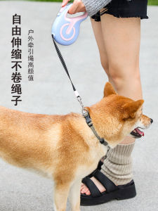 Automatic Retractable Dog Leash Reflective Night Walking Medium Large Dogs Teddy Dog Chain Harness Polyester Material