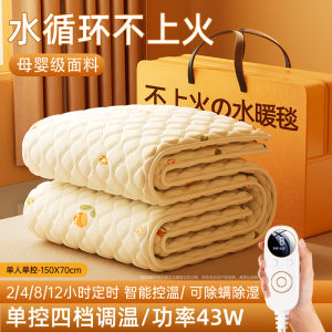 Smart Dual-Control Heating Blanket 2025 New Model Home Warmth Student Dormitory Electric Quilt Single Double Person Constant Temperature
