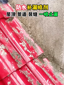 Anti Leak Sealant Spray 450ml crack repair sealant spray Seal Flexible Rubber Coating Repair Spray