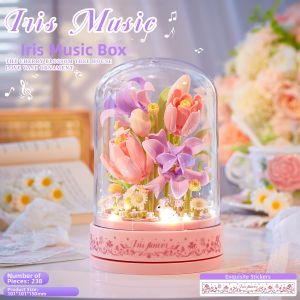 Rotating DIY Music Box Assembly Kit