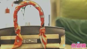 🔥B.two👍 Twilly Scarf Decoration Bag Charm Bag Wrap Handle Decoration Silk Scarf Tied Tie Women Fashion Accessories Ladies All-match Ribbon