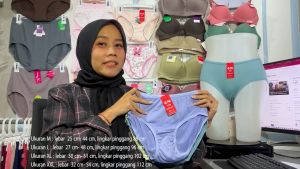 Celana Dalam Golden Nick Lusinan Bahan Katun Cutting Maxi Golden Nick 931 Warna Pastel Meresap Keringat