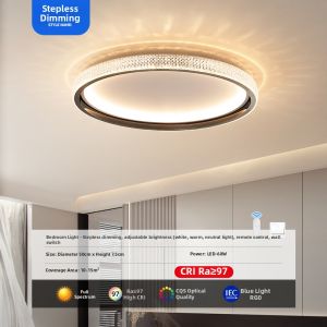 AODN | Elegant Modern Ceiling Light for Master Bedroom
