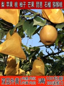 Fruit Growers Pear Bag ป้องกันความเสียหายจากผลไม้ Fly ยี่ห้อ Guo Kang สําหรับ Apple Orange Plum Loquat และอื่นๆ