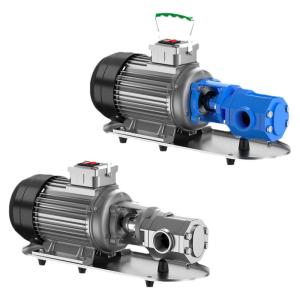 DULAN | Self-Primed Heavy Viscosity Diesel Oil Gear Pump 220V