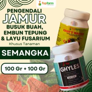 Fungisida Topfarm / Obat Jamur Akar Semangka Terbaik / Obat Jamur Akar Tanaman Semangka / Obat Jamur Daun Semangka / Obat Jamur Untuk Semangka / Obat Jamur Tanaman Semangka / Fungisida Semangka