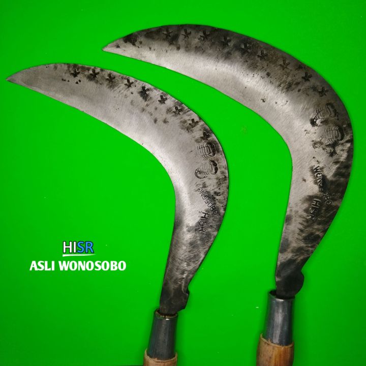 Sorish bir katta semiz Dik Sorish bir katta semiz Dik