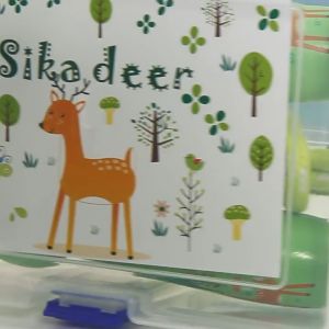 Wooden Handle Jump Rope Toy for Children Kids - Skipping Rope Exercise Fitness Ideal for Elementary School PE Classes and Kindergarten Outdoor - Mainan Kayu Lompat Tali Kanak Budak Perempuan Lelaki - 木制跳绳小学体育