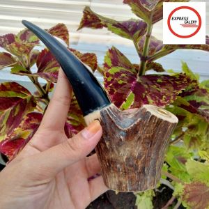 once padutan tanduk kerbau kombinasi tanduk RS B8
