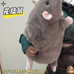 Đồ Chơi Búp Bê Chuột Hoa Nhồi Bông Quà Tặng Sinh Nhật Đồ Chơi Búp Bê Nhồi Bông Ngủ Đệm Nhồi Bông Cho Bạn Gái Đồ Chơi Búp Bê